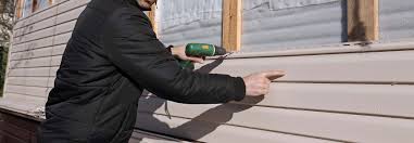 Best Custom Trim and Detailing for Siding  in Burt, MI